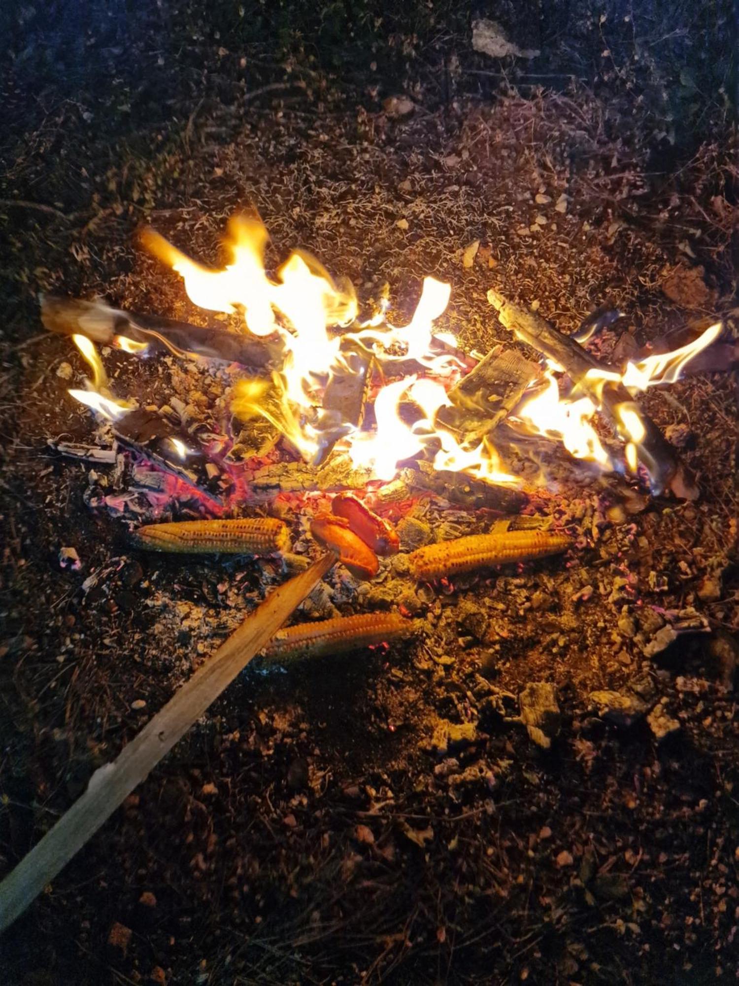 Bujtinat Skenderi Gjinar 2 빌라 외부 사진