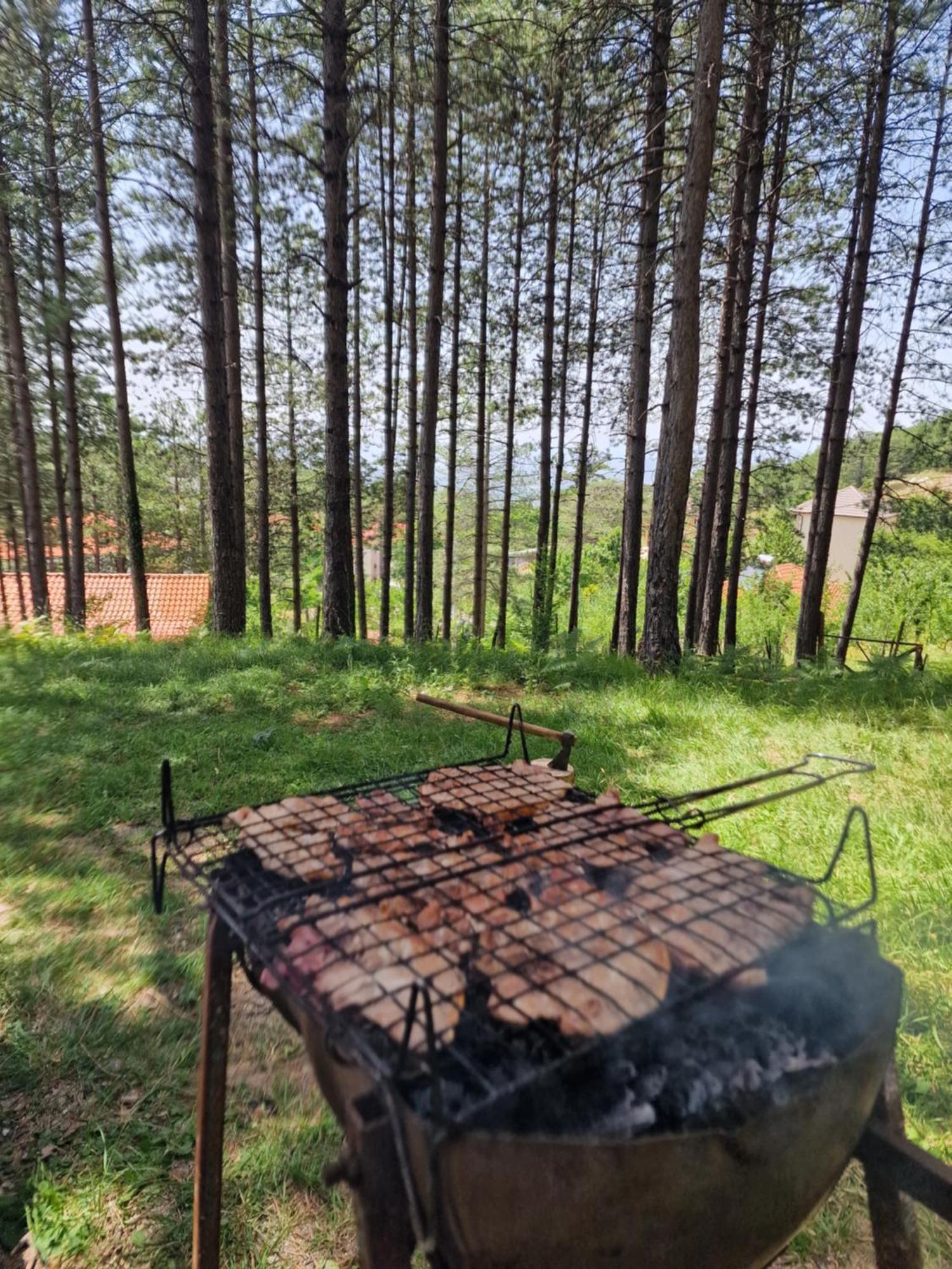 Bujtinat Skenderi Gjinar 2 빌라 외부 사진